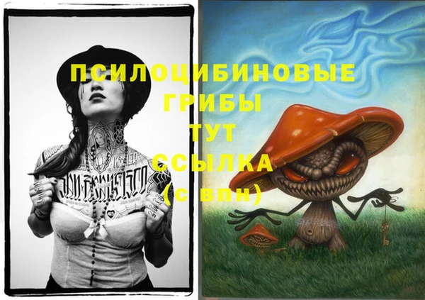 соль курить ск Краснослободск