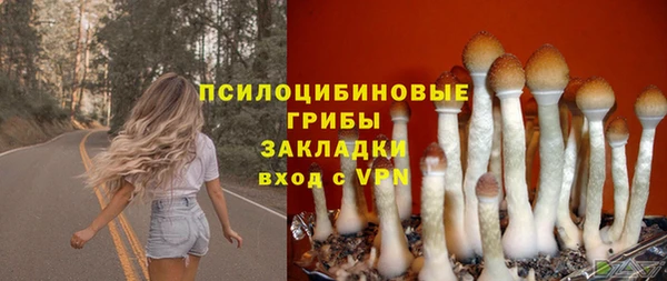 соль курить ск Краснослободск