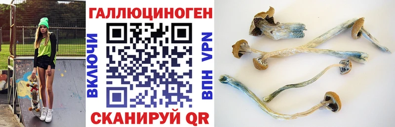 Купить  Ясногорск  Галлюциногенные грибы ЛСД 